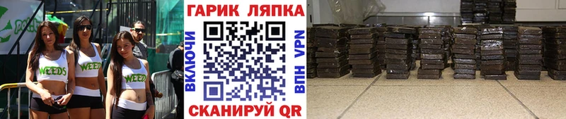 ГАШИШ Изолятор Сураж