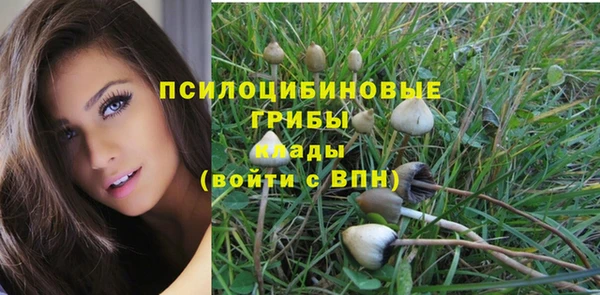 Альфа ПВП Алексин