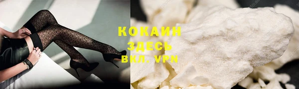 дмт Лиски