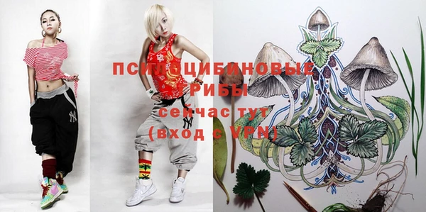 крисы Алзамай
