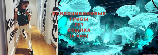 крисы Алзамай