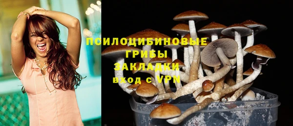 Альфа ПВП Алексин