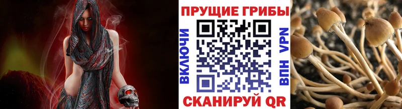 Галлюциногенные грибы Magic Shrooms  Сураж 